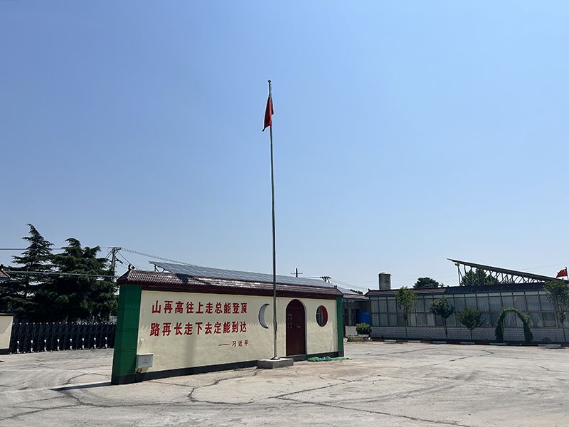 廠區(qū)環(huán)境